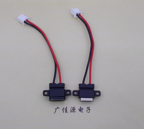 四川简易type c2p防水母座注塑成型带双螺丝孔焊线式带线带接线端子单充电功能