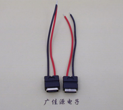 四川type c2p防水母座焊线式带线注塑成型带接线端子/不带接线端子充电连接器