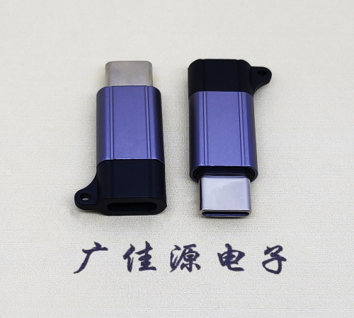 四川Type-C母转Type-C公 USB3.1 PD100W快冲接口